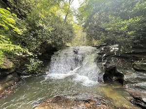 Sea Creek Falls
