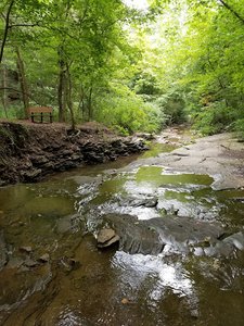 Montour Woods Conservation Area