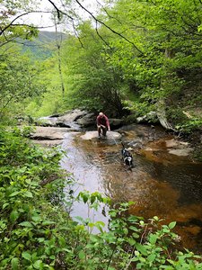 Fallingwater – Flat Top Trailhead
