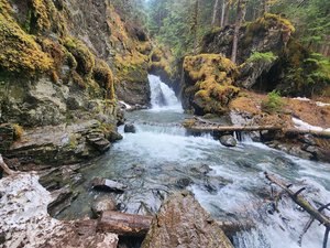 Virgin Creek Falls Trailhead