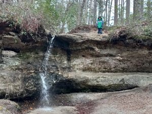 Peach Tree Rock