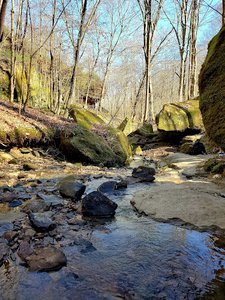 Shanty Hollow Lake
