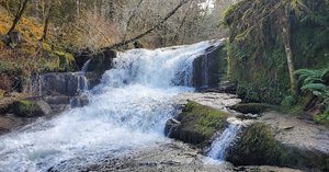 Alsea Falls
