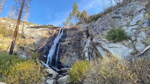 Foresta Falls