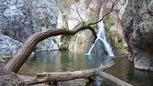 Darwin Falls