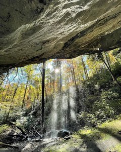 Picklesimer Rock House Falls Trailhead