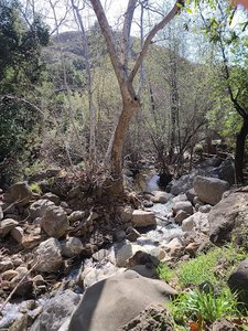 Solstice Canyon Education Shelter