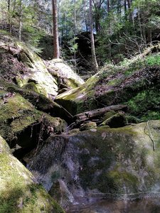 Borden Creek