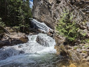 Roosevelt Grove of Ancient Cedars Trailhead