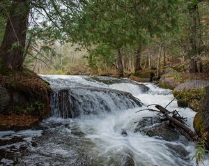 Evergreen Falls