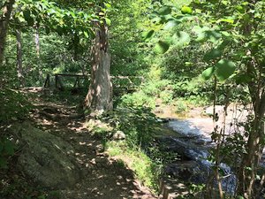 Fallingwater Creek