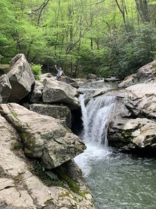 Laurel Creek Falls