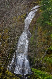 Whispering Falls Campground