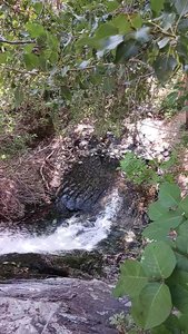Lower Barnard Creek Canyon Trail