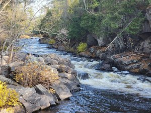 Horse Race Rapids