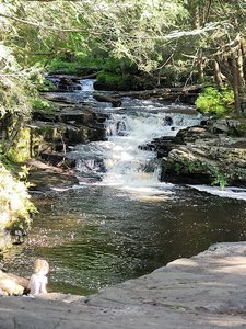 Little Falls Trail