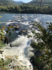 Brooks Falls