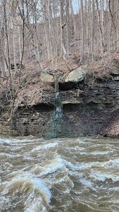 Gorge Metropark Highbridge Trail