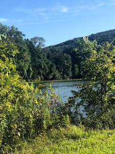 Bernharts Dam