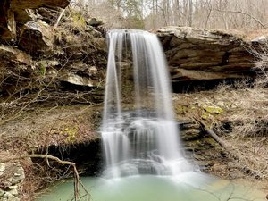 Fern Falls