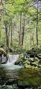 Mill Creek Falls