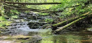 Stony Brook Falls