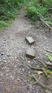 Maplewood Park trails