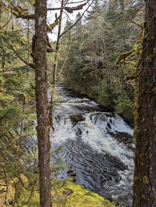 Ward Creek