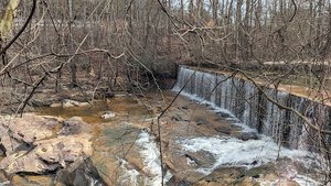 Ivy Creek Trailhead