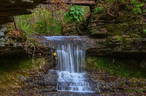 The Cascades