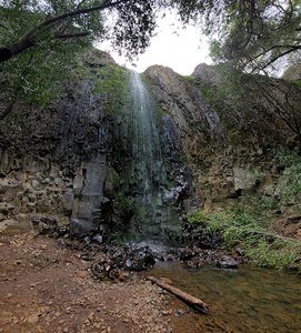 Ravine Falls