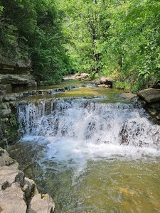 Cove Spring
