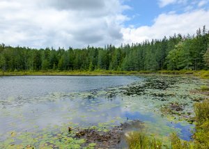 Mud Lake Trailhead
