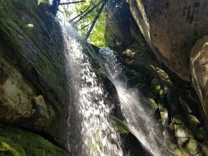 Snowshoe Creek