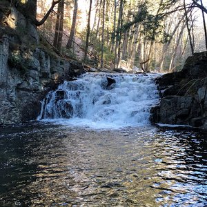 Tenant Creek Falls Trail Head