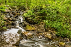 Danforth Falls