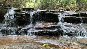 Lowry Falls Trail