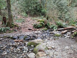 Grand Ridge Trail