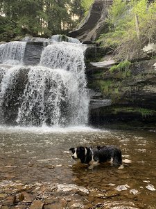 Watauga Falls