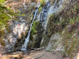Pfeiffer Falls