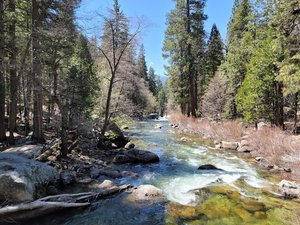 Kings Canyon National Park