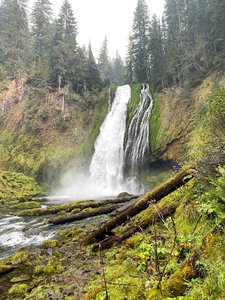 Lemolo Falls Trailhead #2