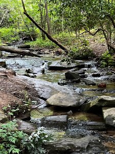 Long Branch Trail