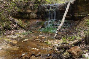 Crystal Spring Scientific and Natural Area