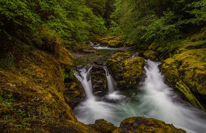 Champion Creek Trailhead