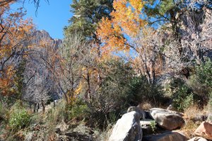 First Creek