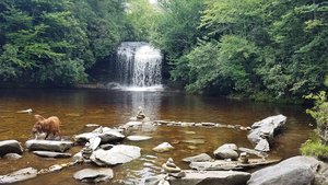 Schoolhouse Falls