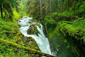 Sol Duc Falls