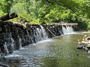 Sycamore Mills Dam