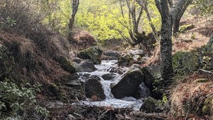 Ignacio Valley Preserve